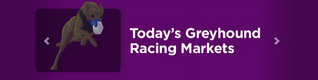 Today's Grethound Racing Markets at Casino