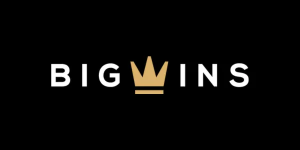 Read more about the article Big Wins Casino